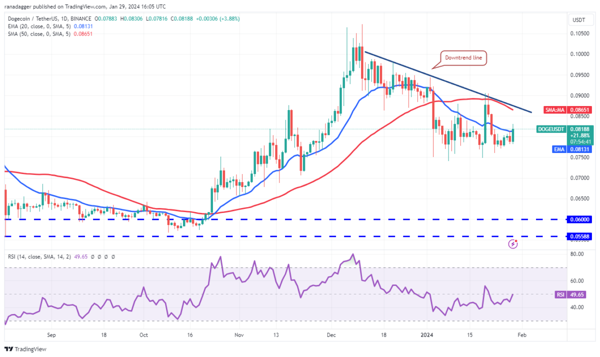 AVAX Coin
