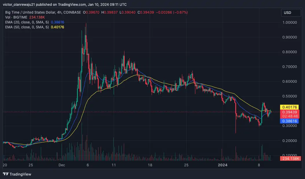 SHIB Coin
