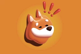 BONK Coin Neden Düşüyor? BONK Alternatifi Coinler Hangileri?