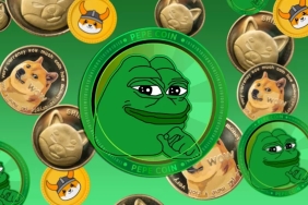 Trader Bu Meme Coin İle 3 Günde 300X Yaptı! İnsider Trading mi?