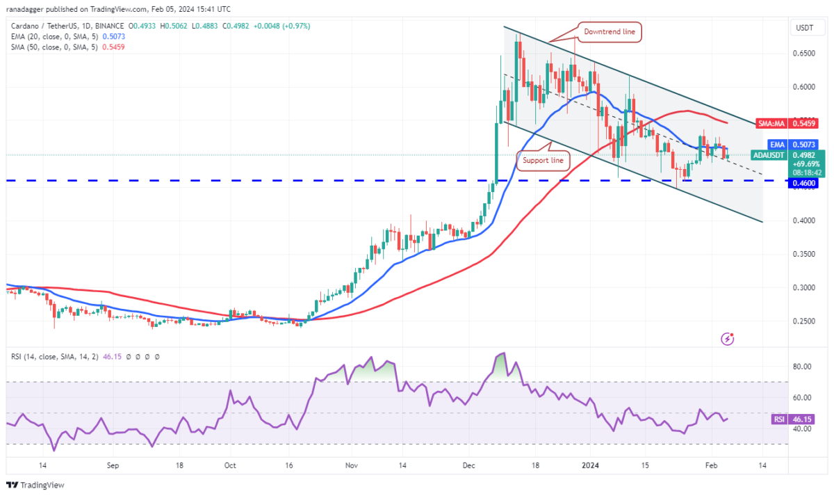 DOGE Coin