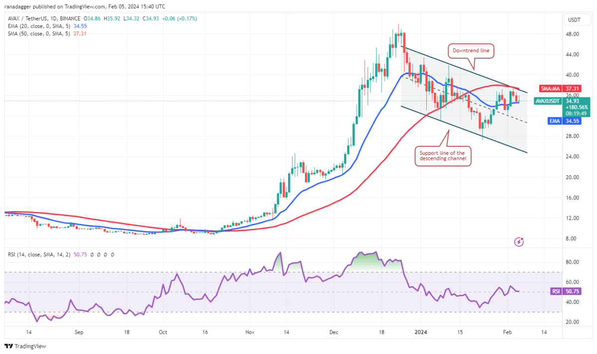 DOGE Coin