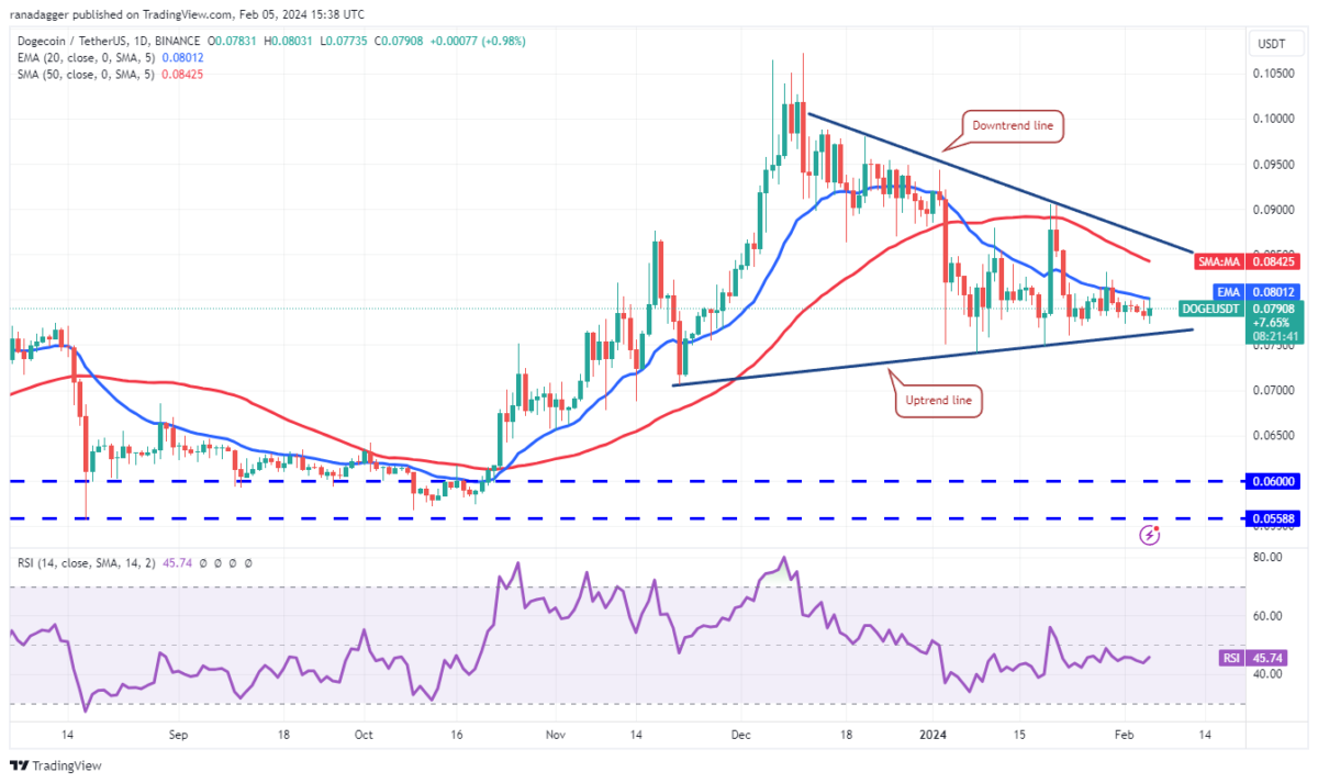 DOGE Coin